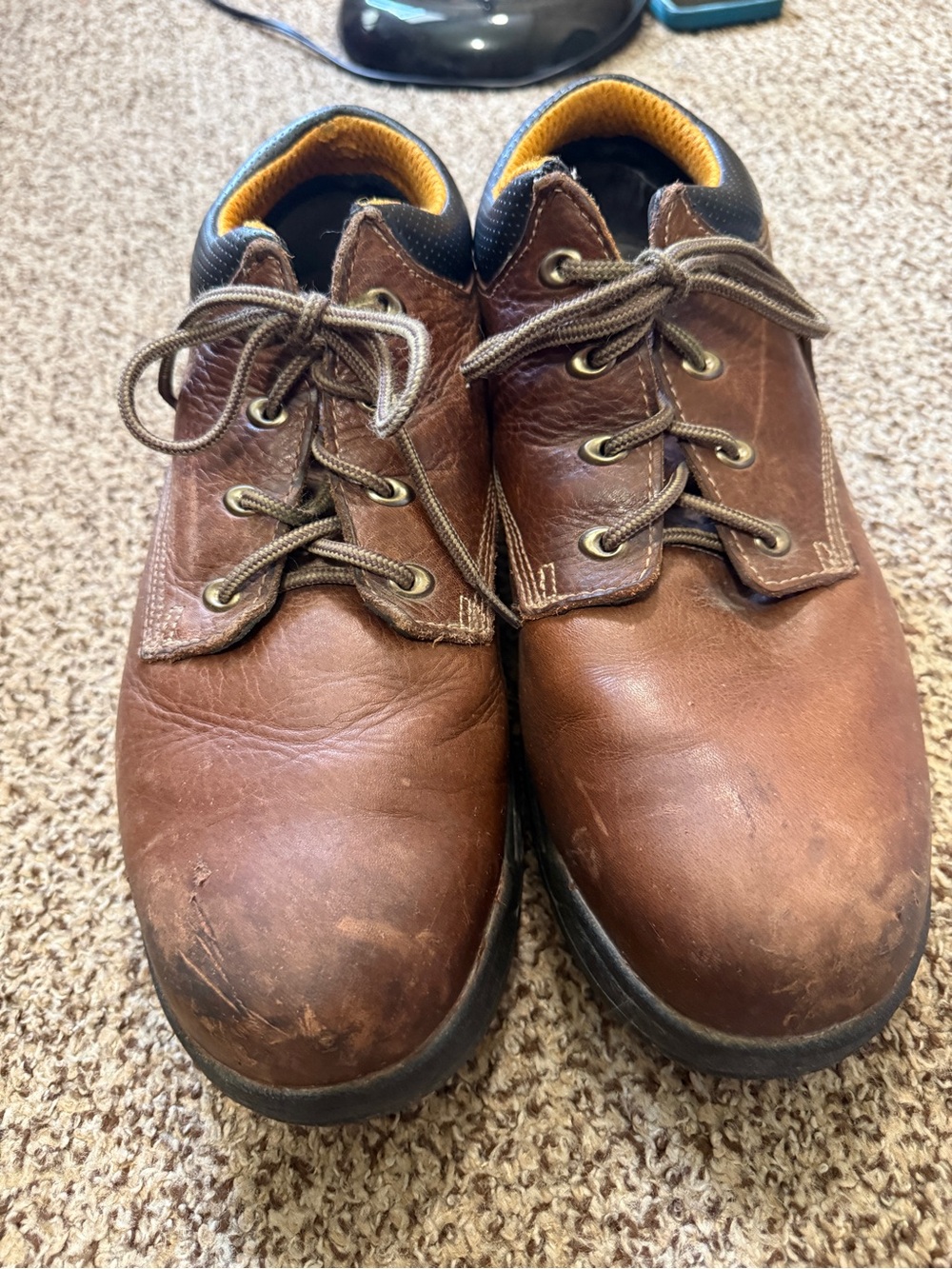 Timberland Brown Leather Lace-Up Oxfords with Dark Collar
